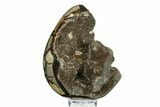 Septarian Dragon Egg Geode - Sparkly Black Crystals #308840-2